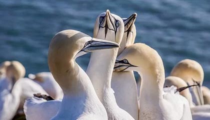 亚博体育官网-小克鲁伊夫：会给更多球员机会 用胜利结束本赛季